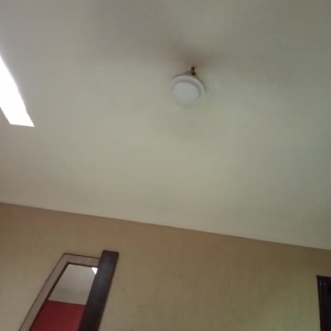 Hotel Apollo. - Traveller Photo