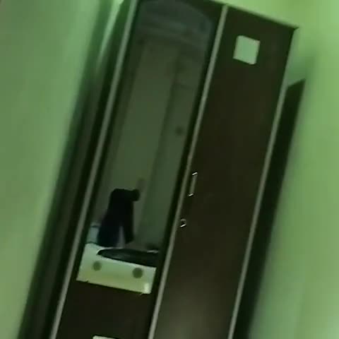 HOTEL VIJAY PALACE - Traveller Photo