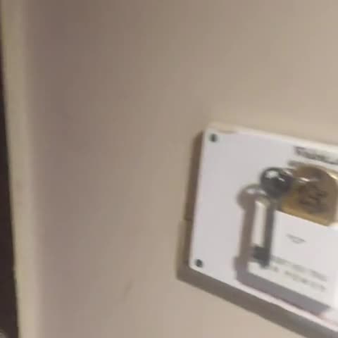 Hotel White Rose - Traveller Photo