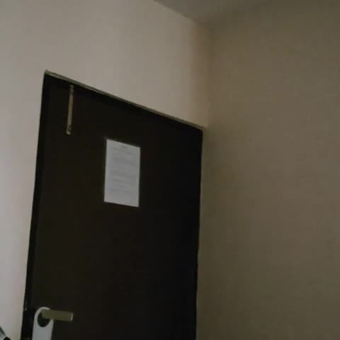 Hotel Himalaya Park - Traveller Photo