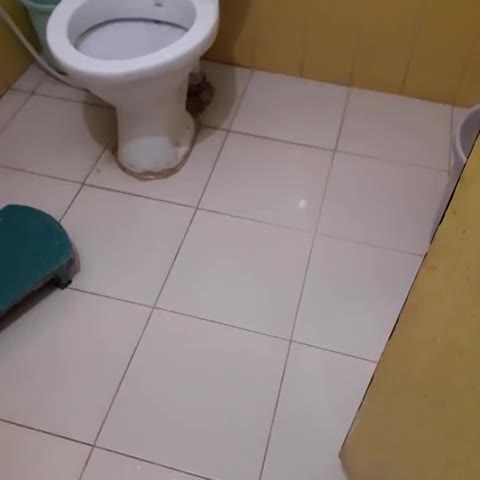 Hotel Bhagyodaya Residency - Traveller Photo