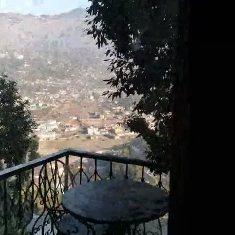 The Fern Hillside Resort - Traveller Photo