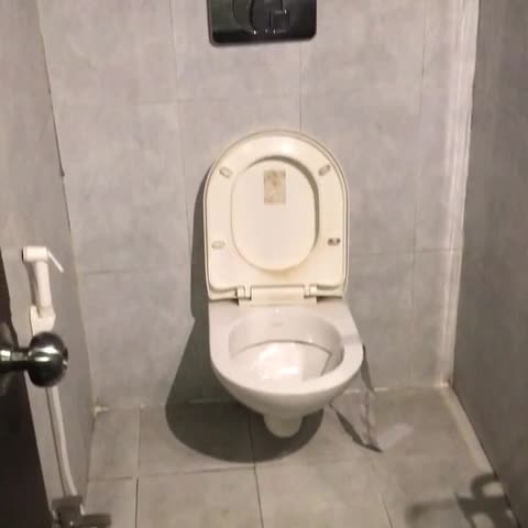 Hotel Mayur palace - Traveller Photo