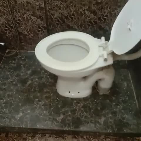 Hotel O Smart City - Traveller Photo
