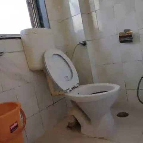 Hotel O Ganpati - Traveller Photo