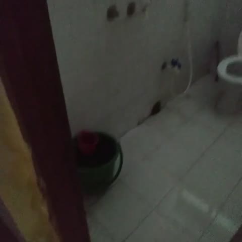 Sai Krishna Guest House - Traveller Photo