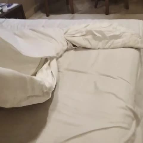 Hotel Kutch Desert - Traveller Photo
