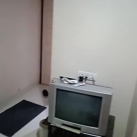HOTEL RITISH - Traveller Photo