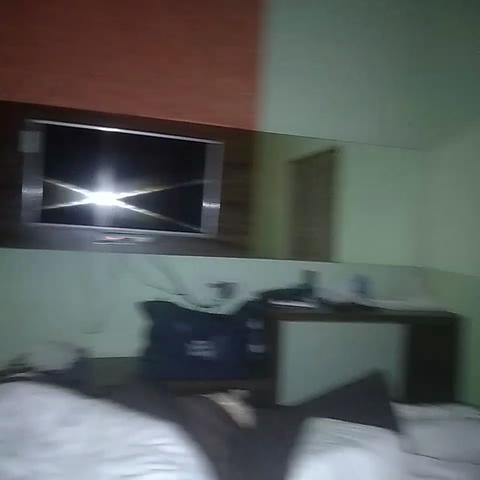 HOTEL HARI BHAWAN PALACE - Traveller Photo