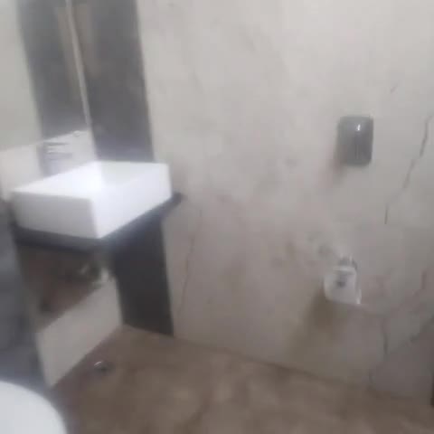 Hotel City Palace - Traveller Photo