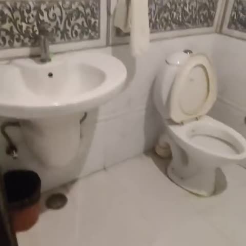 Hotel Sagar - Traveller Photo