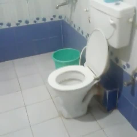 Hotel Aryan international - Traveller Photo