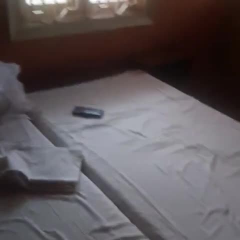 HOTEL NEELKAMAL - Traveller Photo
