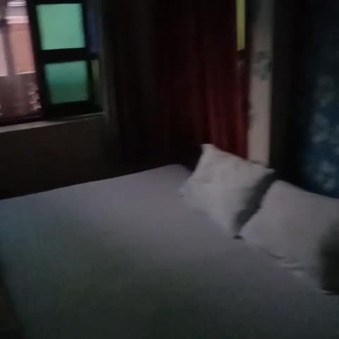 Hotel Taragarh Palace - Traveller Photo
