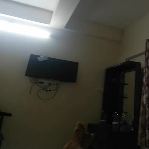 Hotel O Madhurapuri - Traveller Photo