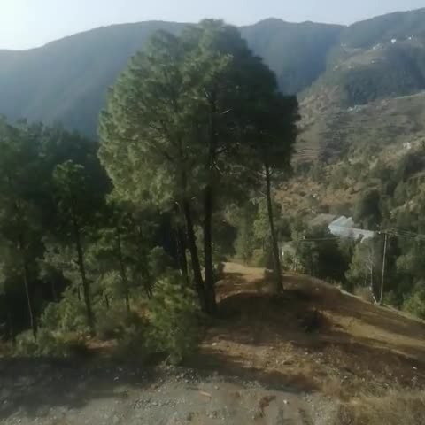 Hotel Emerald Valley - Traveller Photo