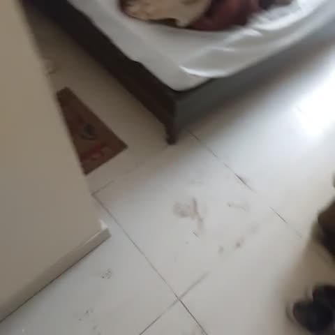 HOTEL ESS PEE 91 - Traveller Photo