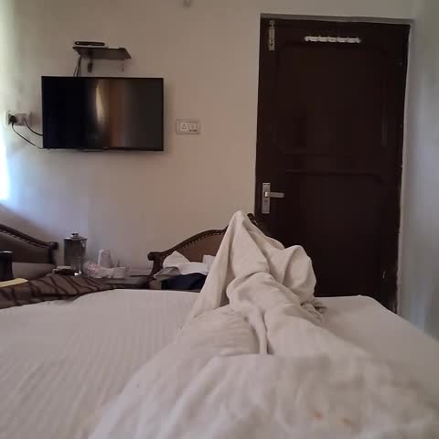 Hotel Punjab Palace - Traveller Photo