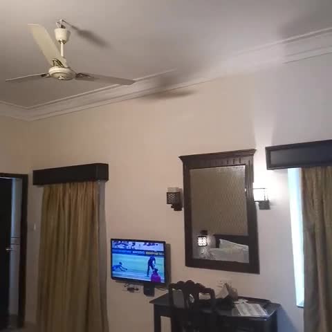 AMS Raj Palace Sundar - Traveller Photo