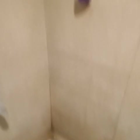 Hotel Bakya Slot - Maraimalai Nagar - Traveller Photo