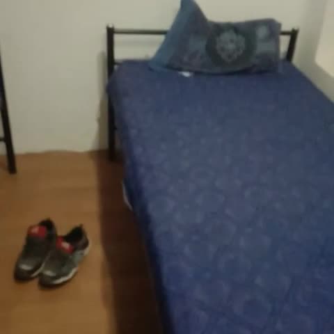 Palace Lodge Egmore - Traveller Photo