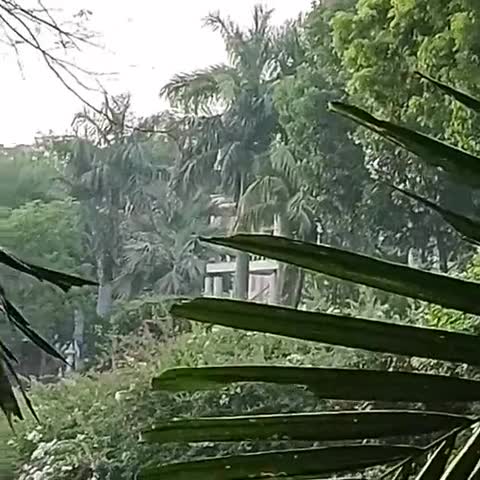 Pragati Resorts - Traveller Photo