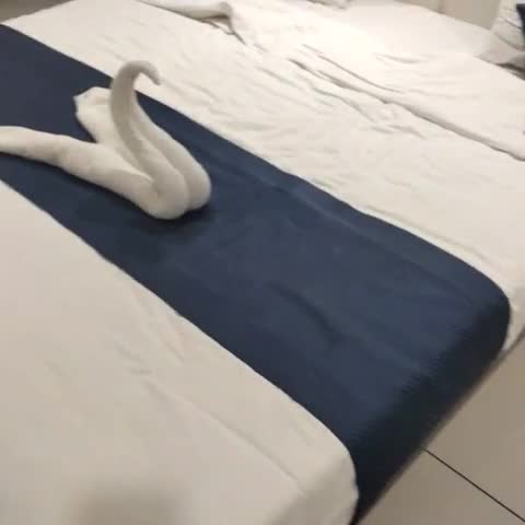Hotel Supreme and Guest House - Traveller Photo