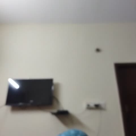 Hotel Malnad Paradise - Traveller Photo