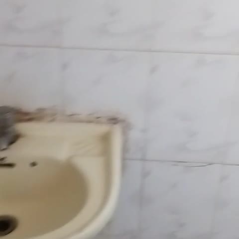 Hotel Ayodhya - Traveller Photo