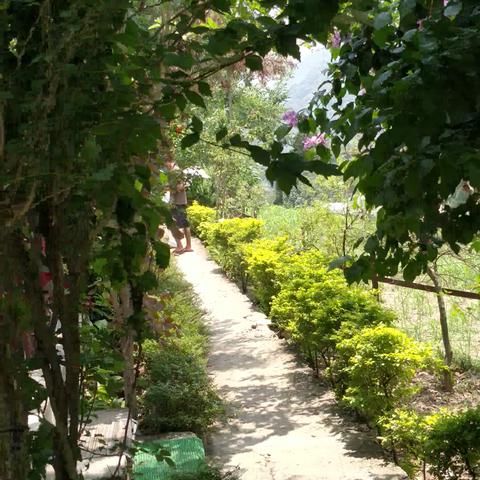 Vedant Valley Resort, Kund (Guptkashi) - Traveller Photo