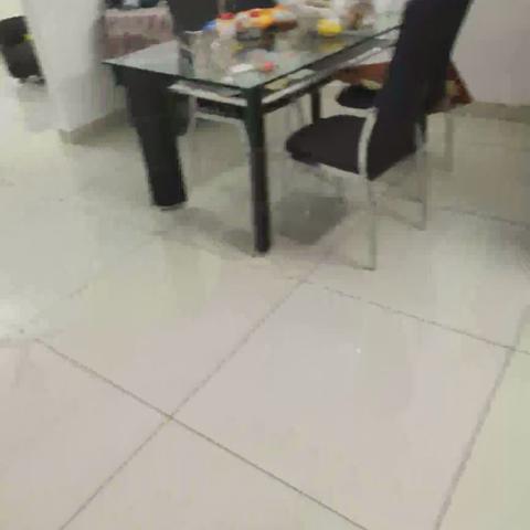 Hotel Elegance Karukutty Angamaly - Traveller Photo