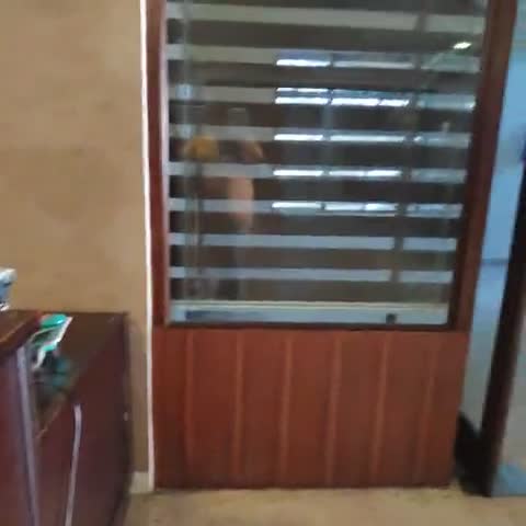 Hotel Edassery Mansion , Ernakulam - Traveller Photo
