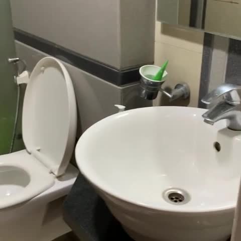 Hotel Green Dreams - Traveller Photo