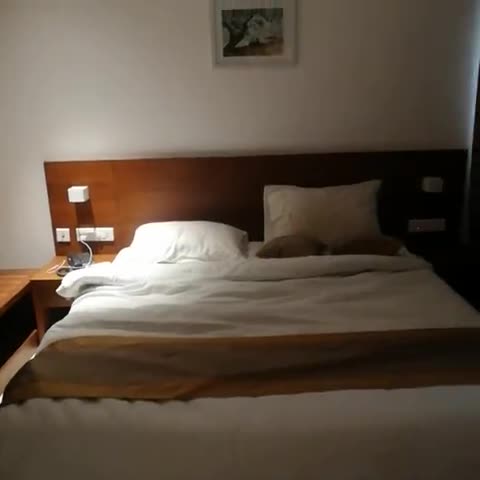 Hotel Zodiac - Traveller Photo