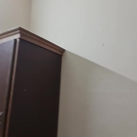 Nest Inn - Traveller Photo