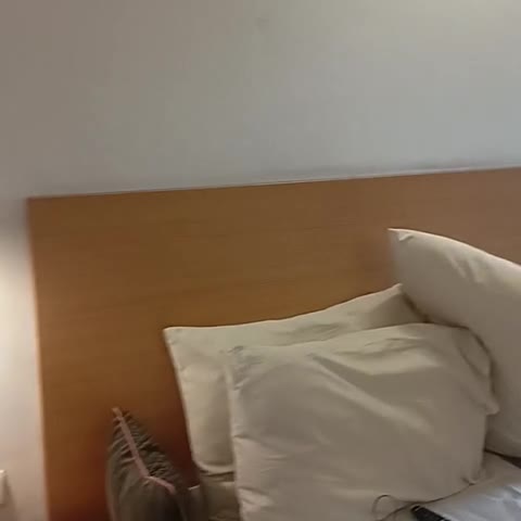 Xenia Business Hotel - Traveller Photo