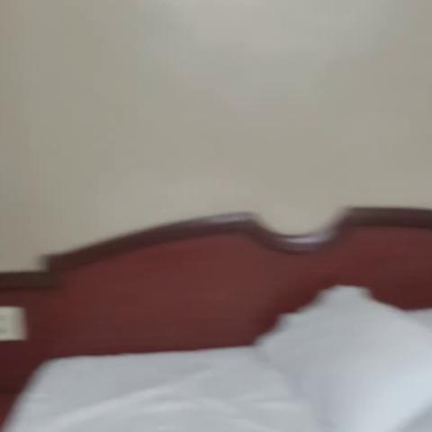 Ambika Lodge - Traveller Photo