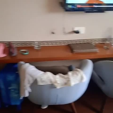 Fortune Suites  - Traveller Photo