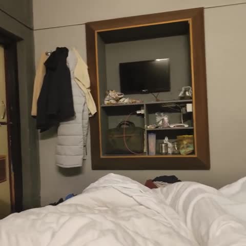 HOTEL VIVEK - Traveller Photo