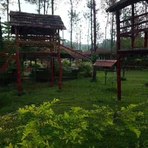 COORG NEST COTTAGE - Traveller Photo