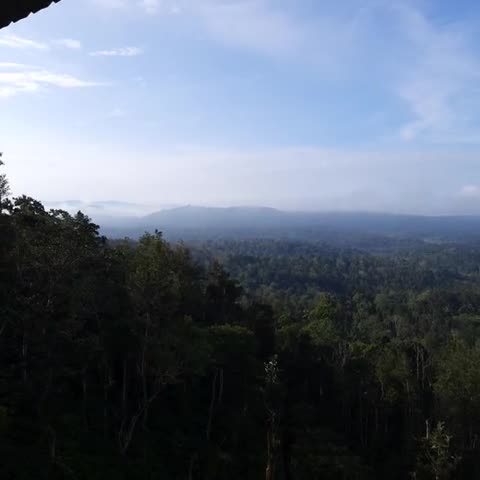 Coorg Cliffs Resorts - Traveller Photo