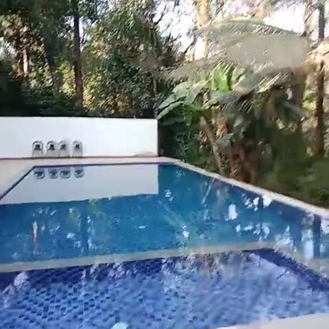 Jungle Hill Resort - Traveller Photo