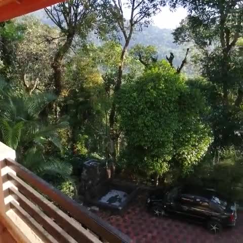 Jungle Hill Resort - Traveller Photo