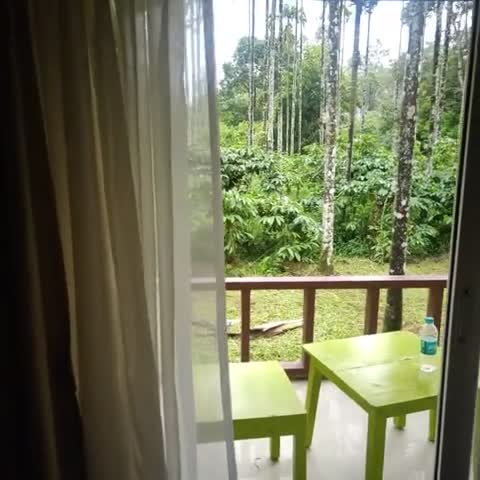 Lazo Areca Resort - Traveller Photo