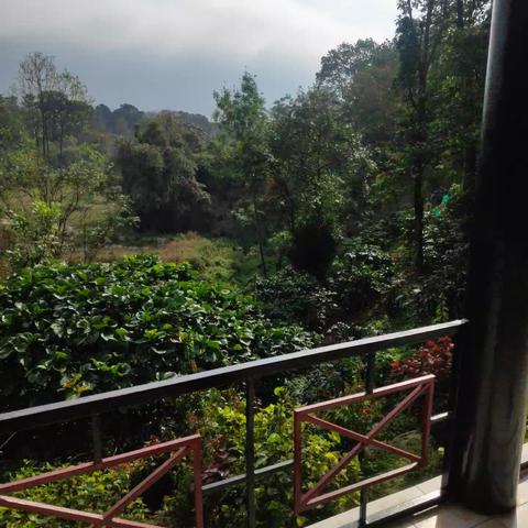 The Capitol Village Resort - Traveller Photo