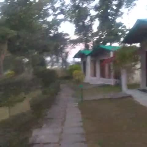 Falcon Nest Nature Resort Corbett - Traveller Photo