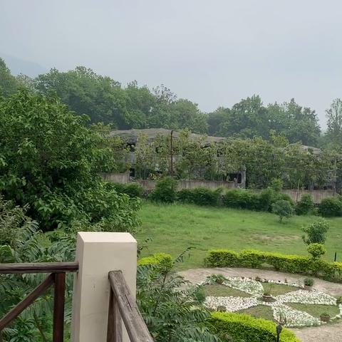 The Corbett Greens - Traveller Photo