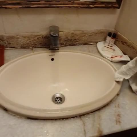Hotel Mount View (Centrally Air Conditioned) - Traveller Photo