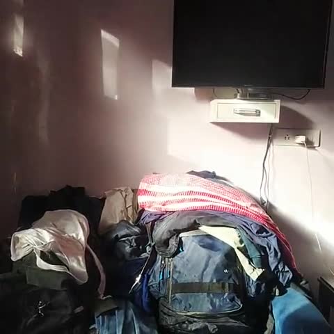 Jasmine II - Traveller Photo