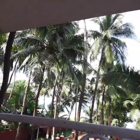 Teerthraj Beach Resort - Traveller Photo